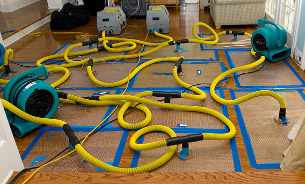 Professional Crawl Space Water Removal technician working in Hudson, NY